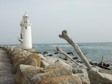 伊良湖岬灯台と流木