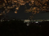 和歌山城からの夜景