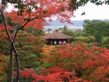 紅葉の銀閣観音殿