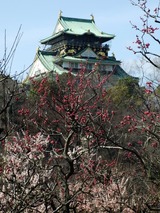 大阪城と大阪城梅林