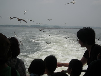 松島島巡り観光船
