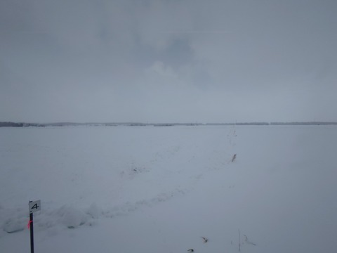 20250307_110717