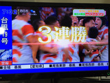 ラグビーワールドカップ2019,日本スコットランド