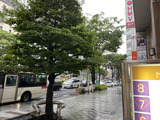 名古屋,栄,雨,ホスト,名古屋ホストクラブ