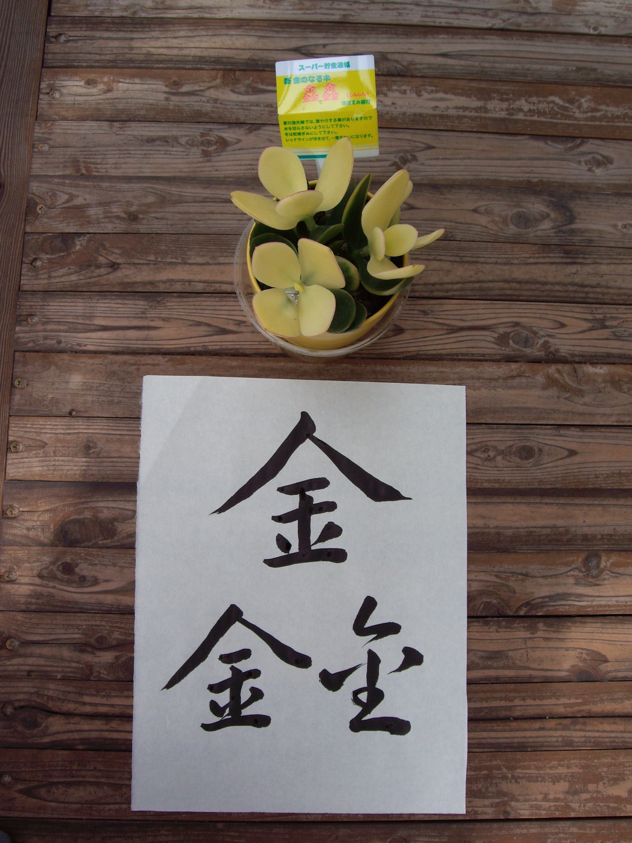 さくら いちろう 書を愉しむ 06年04月 Livedoor Blog ブログ さくら いちろう 書を愉しむ 06年04月 Livedoor Blog ブログ
