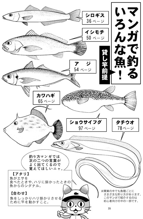 ブログ用いろんな魚