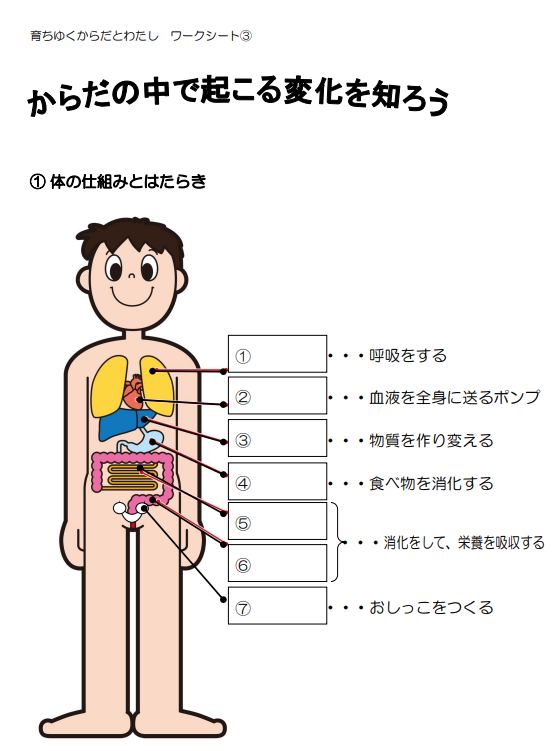 小4保健学習 育ちゆくからだとわたし 第 時 大人に近づくにつれて 体の中で起きる変化を知ろう 養護教諭の小ネタの小部屋
