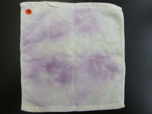 児童保健委員会 夏の活動に ハンカチの汚れを調べました 養護教諭の小ネタの小部屋