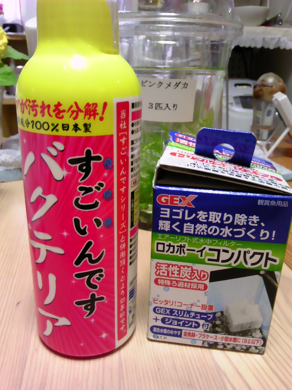 寮母baxの日常 ピンクメダカ 寮母baxの日常 ピンクメダカ
