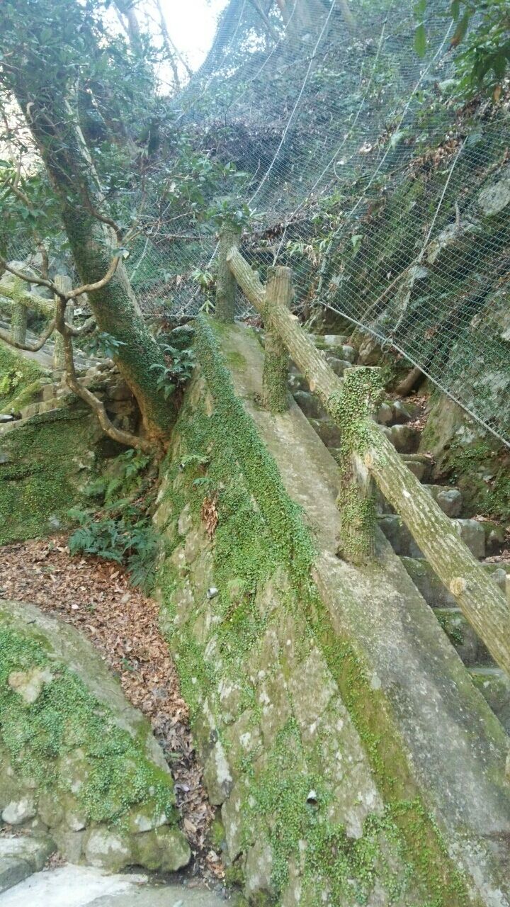 箕面の滝から勝尾寺 ほたるの足跡 箕面の滝から勝尾寺 ほたるの足跡