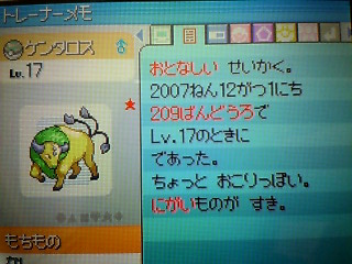 色違いのケンタロス ガジュと仲間たち