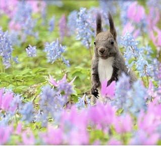 D6CA12EF-CC72-4149-8745-D1ABF0B20AC0