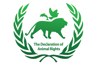 the-rights-of-animals