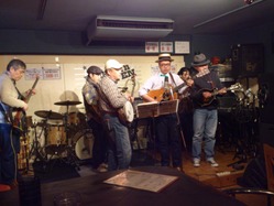 野良