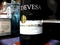 ݥ롡DEVESA ˥2009