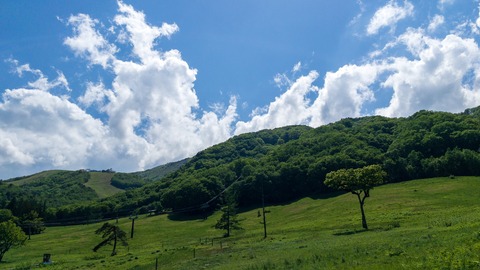 IMG_0028