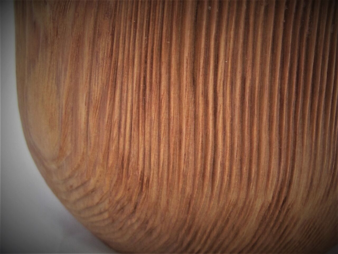 ☆ 屋久杉工房の2022年 ☆ 2022.12.29 : 鹿児島発“ホッとマガジン”