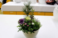 3.shinnsyun