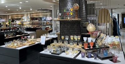 º£Æü¤Î²£É͹âÅç²°1