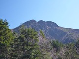 八ヶ岳7