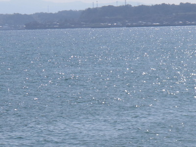 2.