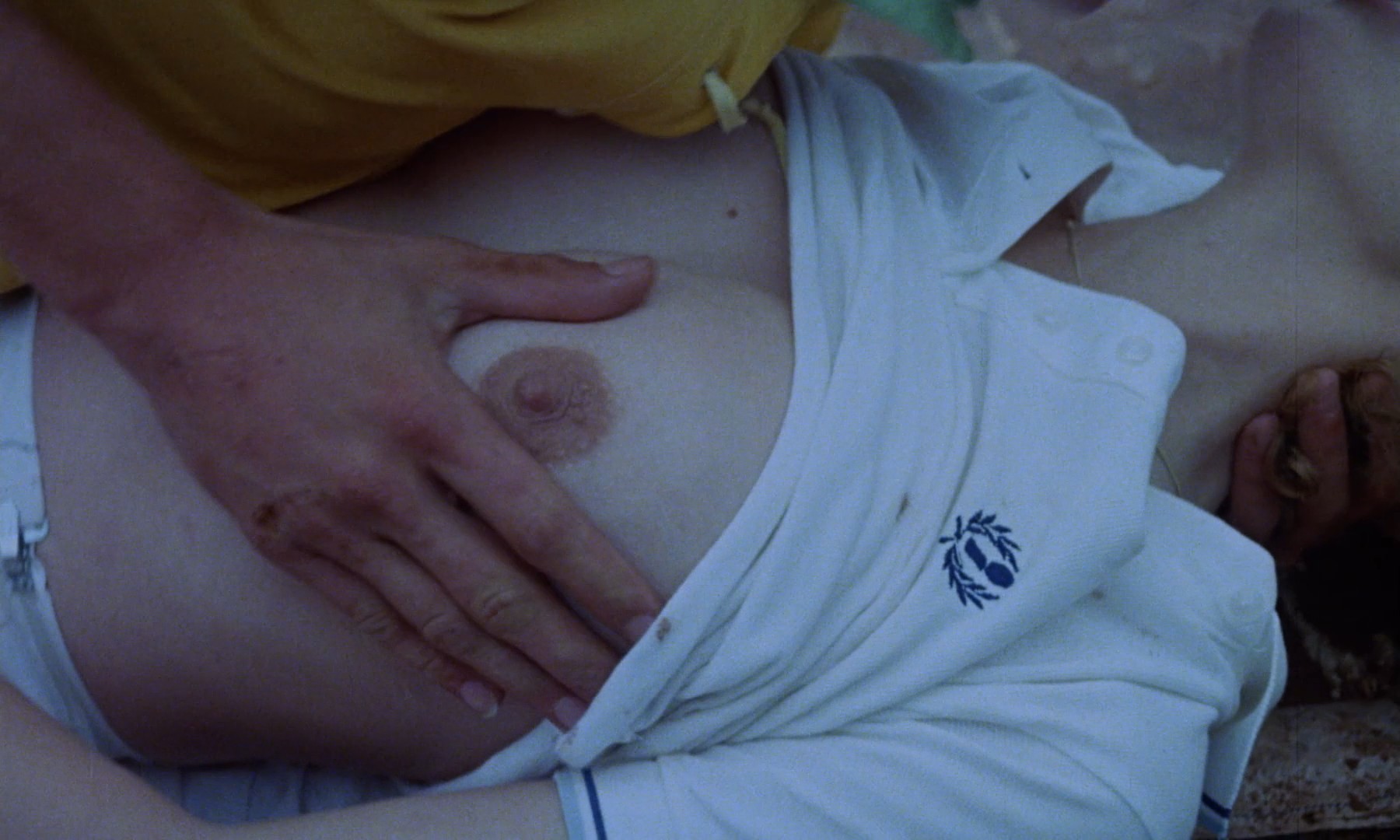 シルビアクリステル ヌード画像$$$ シルビア・クリステルの卒業試験 [Blu-ray] : Hotなハダ