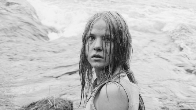 レア・レスト|レア・レスト