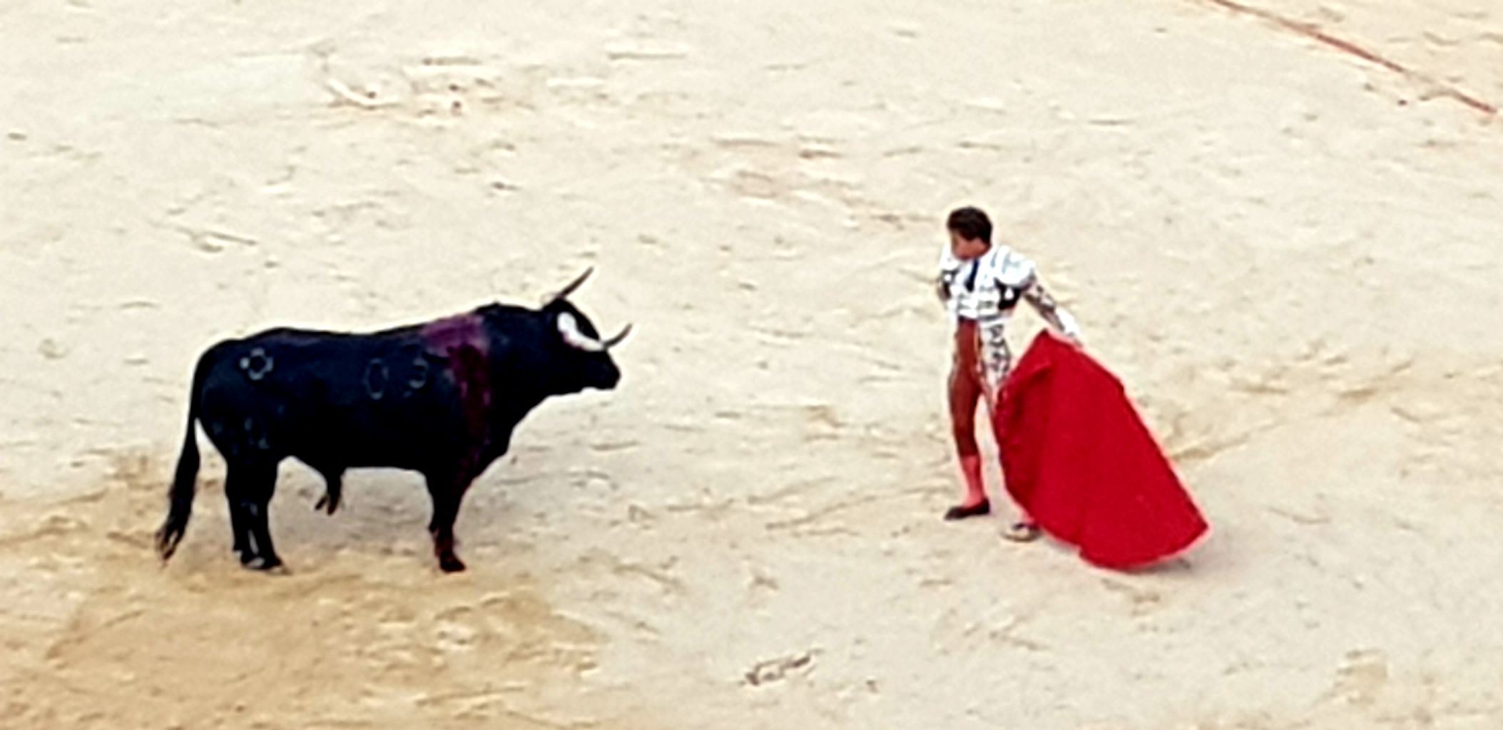 スペイン パンプローナ 観戦その3 夏の家族旅行 長男抜き ドイツでホッと一息 スペイン パンプローナ 観戦その3 夏の家族旅行 長男抜き ドイツでホッと一息