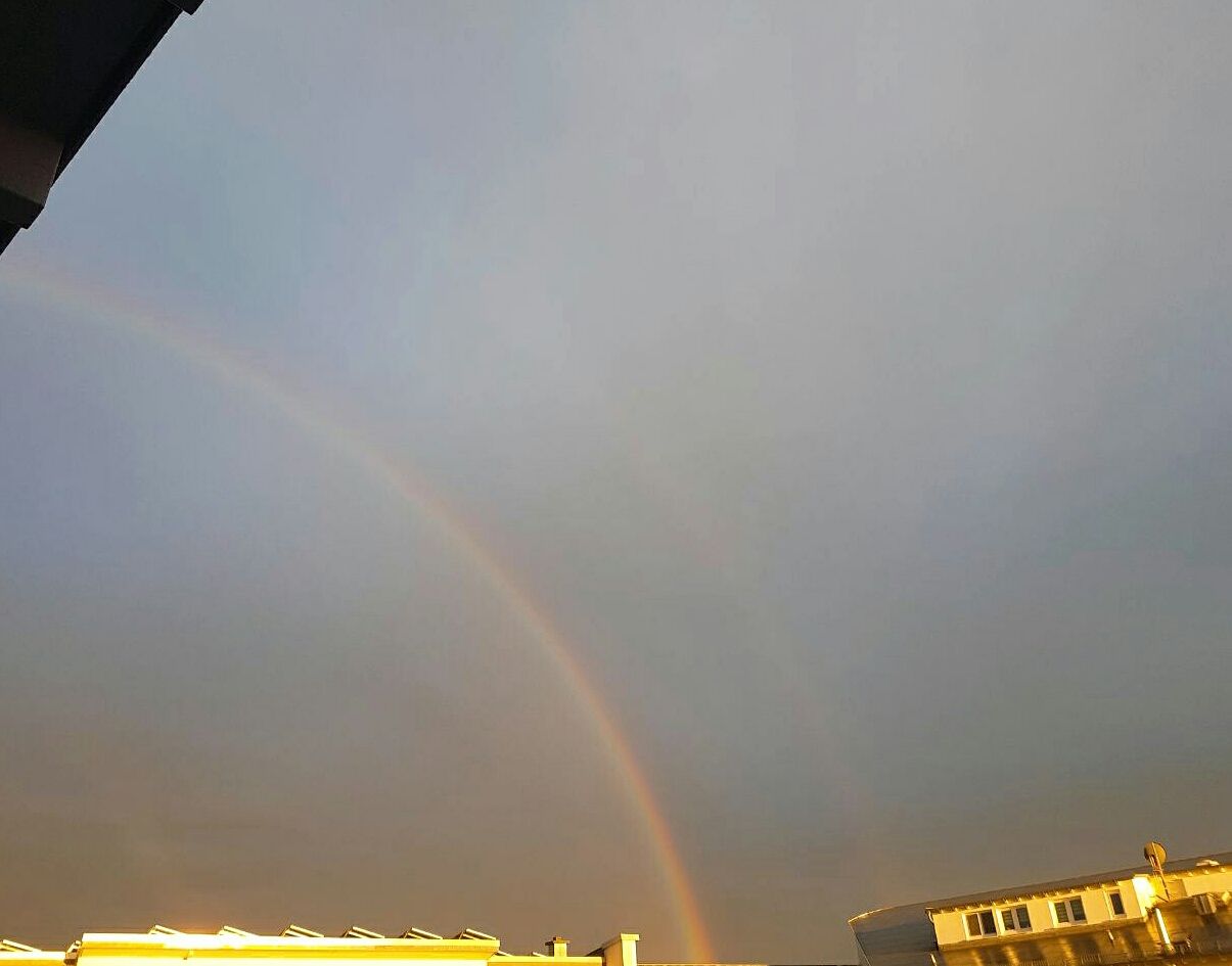 主婦 も 主夫 も同じなのね 虹 Regenbogen ドイツでホッと一息 主婦 も 主夫 も同じなのね 虹 Regenbogen ドイツでホッと一息