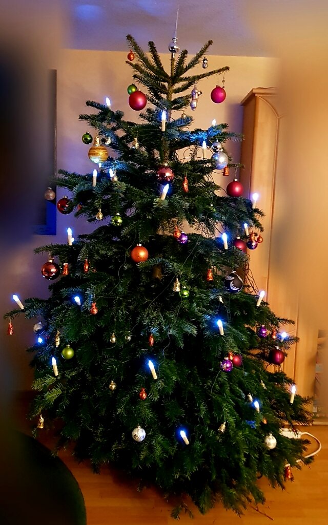 我が家の クリスマスツリー ドイツ クリスマスツリーを飾る日について By夫 ドイツでホッと一息