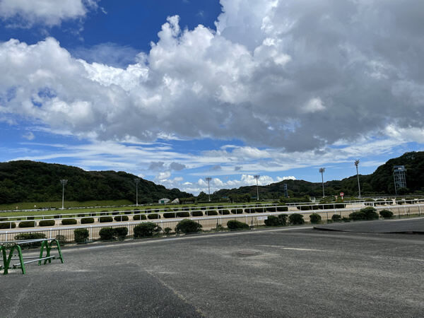 t8