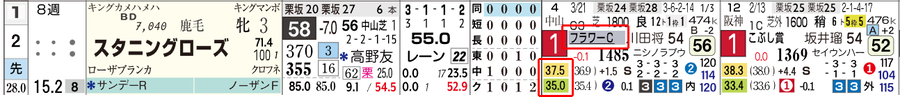 t6
