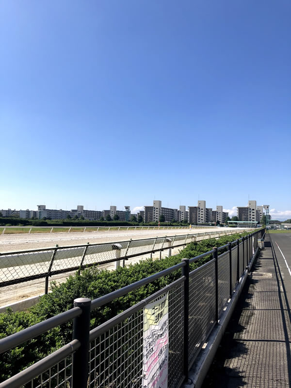 t6