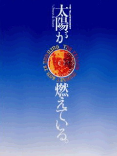 史上最も暑い年_太陽が燃えている