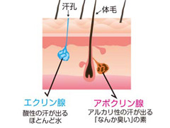 ������&�省��