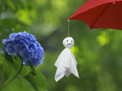 梅雨はじまるよ