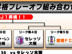 愛媛FCプレーオフ