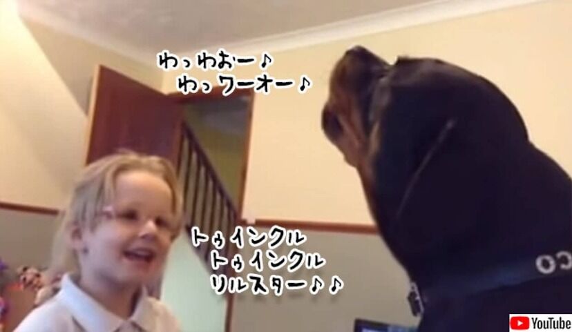 小さな少女と大きな犬が一緒に歌う「きらきら星」 