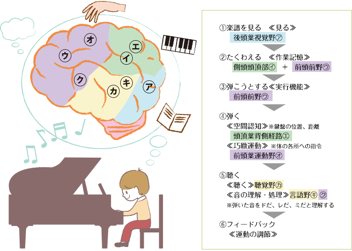 ピアノを弾くと脳の処理能力がアップし、気分が晴れることが研究で示される。