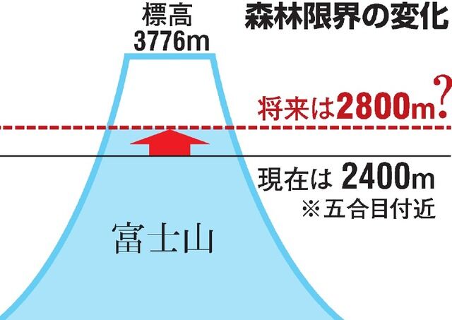 藤井聡太五冠、名言『森林限界』手前！