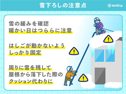 画像B