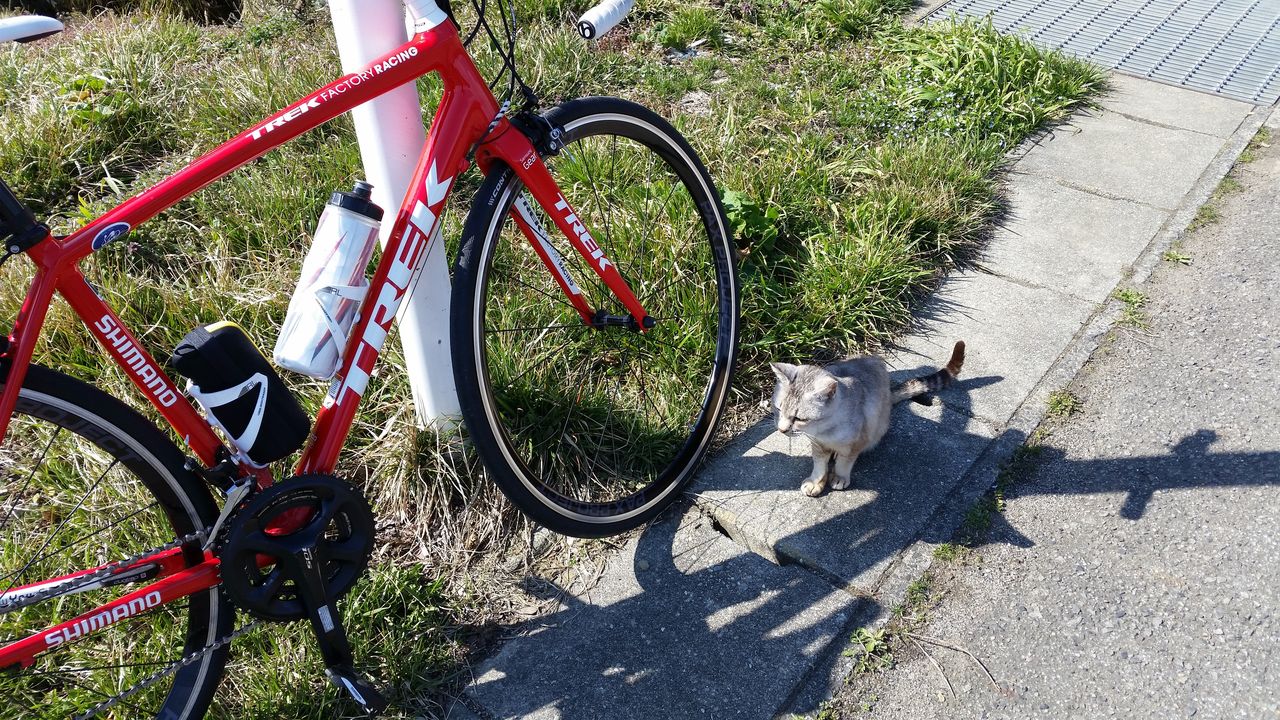 久々の母成峠 : うぐぅ~の隠れ家