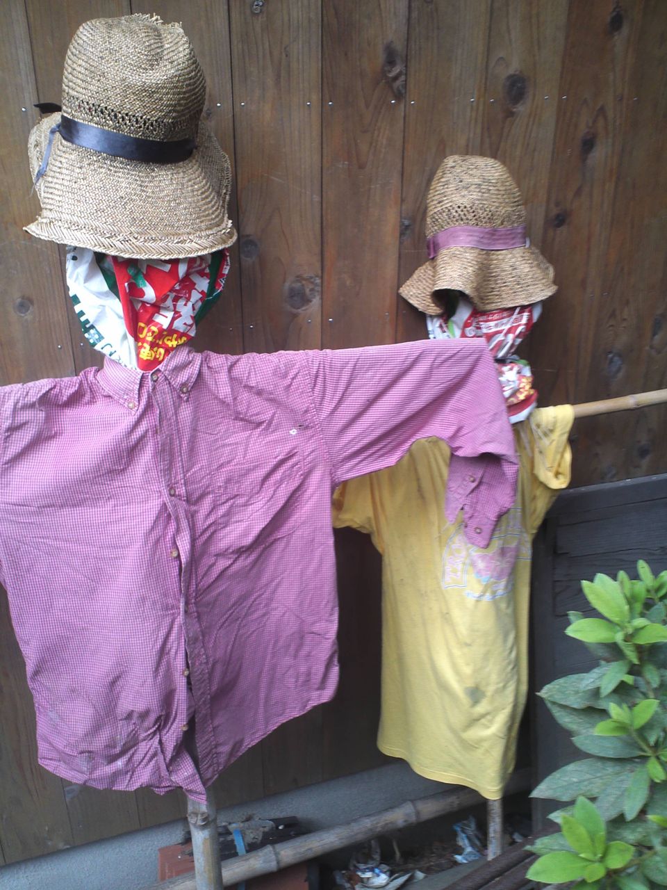 はばたけ日本 : 畑の番人「かかし」は田の神?