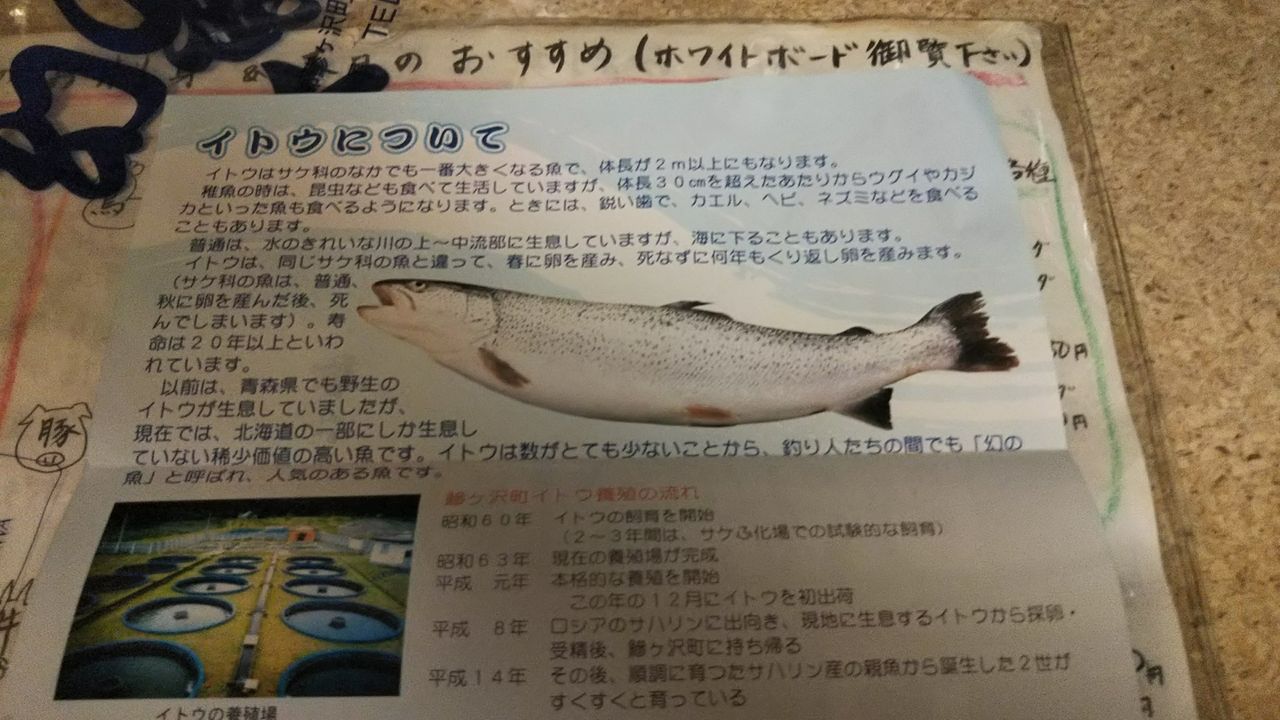 居酒屋 北條 ブログ