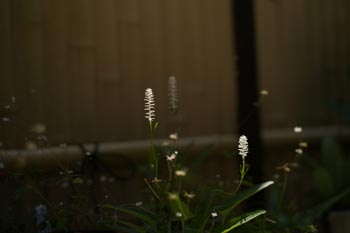 L1008639ab