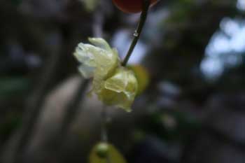 IMG_5944aa