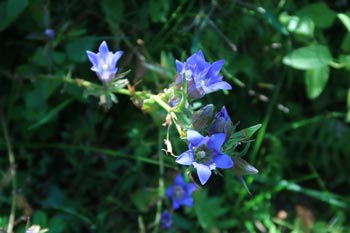 IMG_5848ab