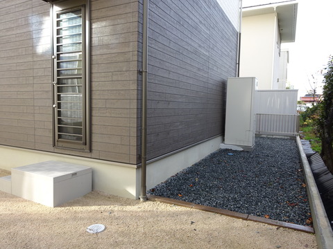 DSC03533