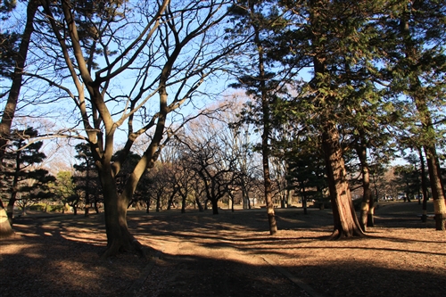 公園