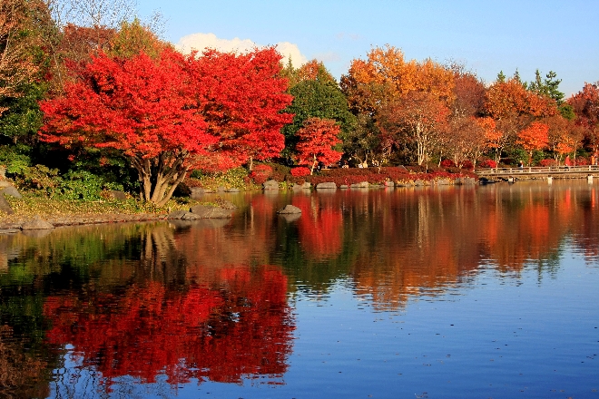 紅葉3